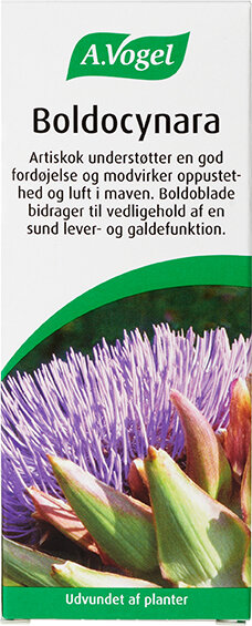 Boldocynara   100 Ml
