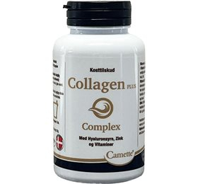Camette Echinacea 90 Tab – Styrk dit immunforsvar!