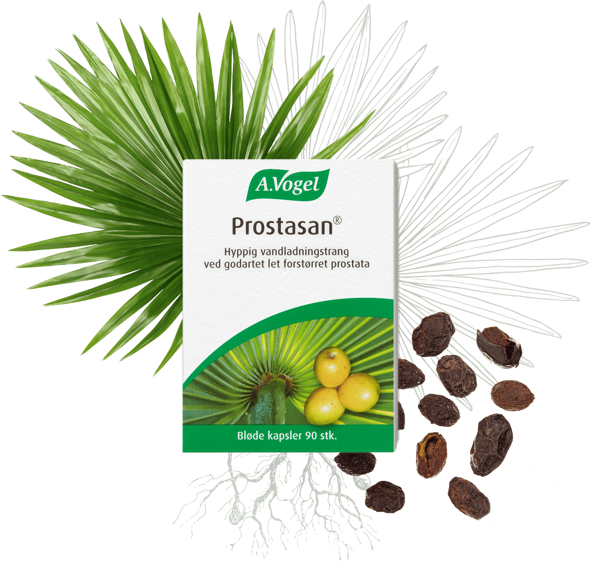 A. Vogel Prostasan – Naturlig Prostatastøtte 90 Kapsler