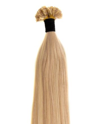 Hot Fusion Extensions   10 22