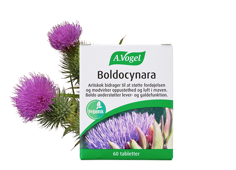 A. Vogel Boldocynara Tabletter - Sund Fordøjelse 60 Tabl
