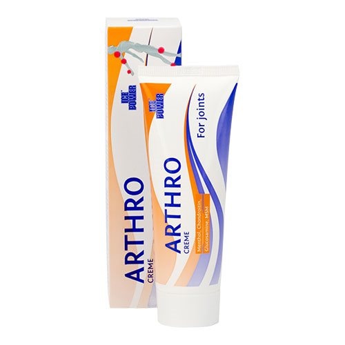 Ice Power Arthro   60 Gram