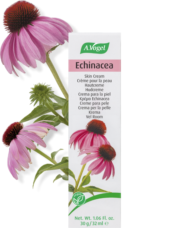 A. Vogel Echinacea Creme 30 G - Naturlig hudpleje til dig