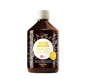 Vita Biosa Ingefær Økologisk Sundhedsdrykk 500ml