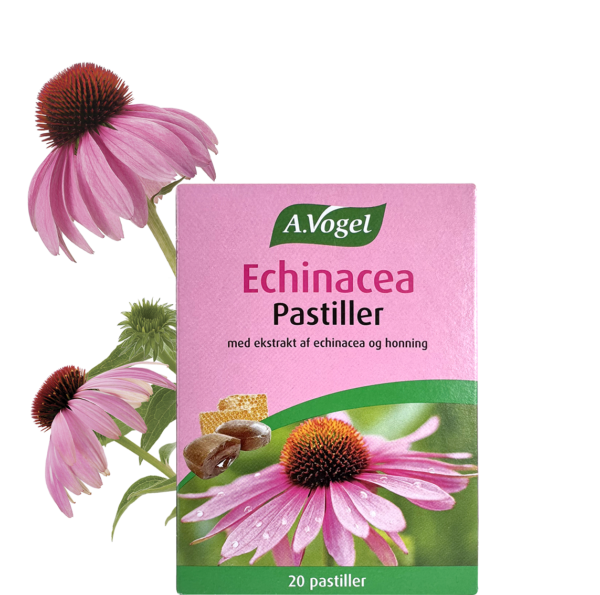A. Vogel Echinacea Pastiller 42 G – Halsvenlige Bolcher