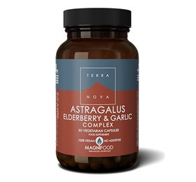 Terranova Astragalus, Hyldebær & Hvidløg – 50 Kapsler