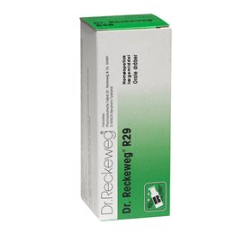 Dr. Reckeweg R 29 Bull 50 Ml – Homøopatisk sundhedsprodukt