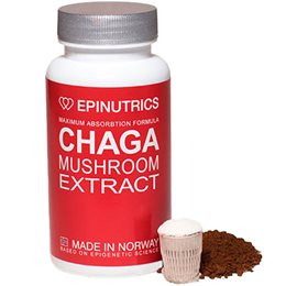 Epinutrics Epi Chaga 60 Kapsler – Velvære Kosttilskud