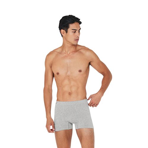Boxer Shorts Lysegrå Str  Xl