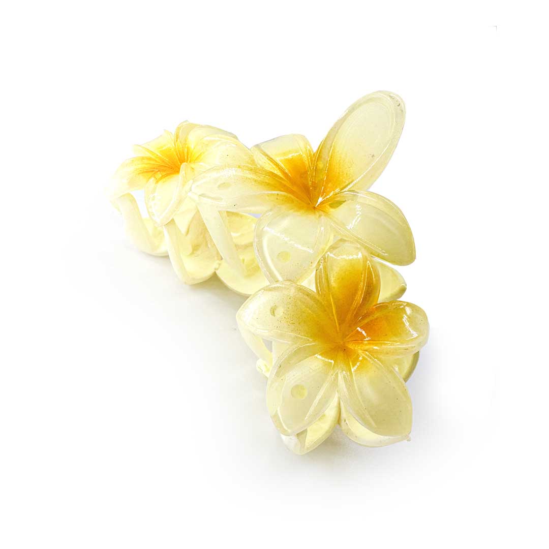 Blomster Hårklemme   Pineapple Stor