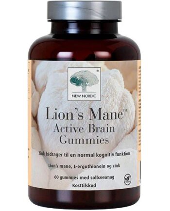 Lions Mane Active Brain Gummies   60 Gum